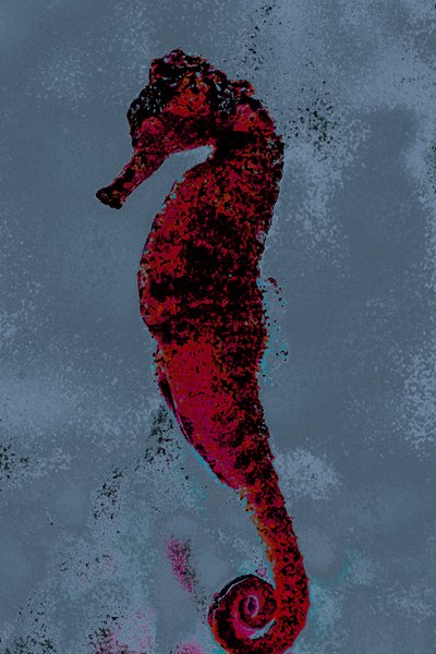 Mořský koník, 2018 (ručně malovaná fotografie) od Alice Gur-Arie