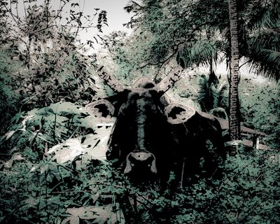 Die Lodge in der Nähe von Periyar von Alice Gur-Arie