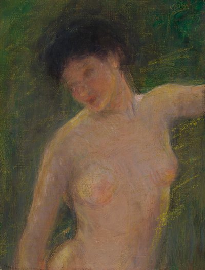 Ve stínu, ca. 1910. od Alice Pike Barney