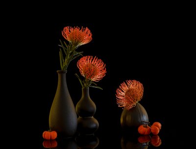  od Alice Sheng