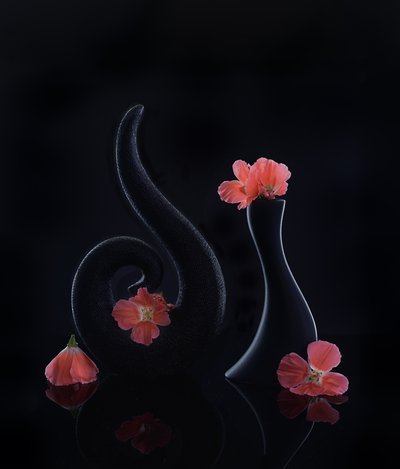  od Alice Sheng