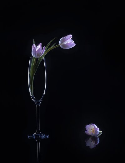  od Alice Sheng