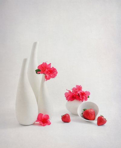  od Alice Sheng