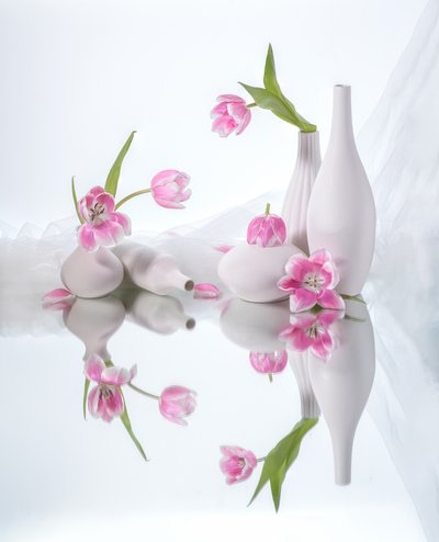  od Alice Sheng