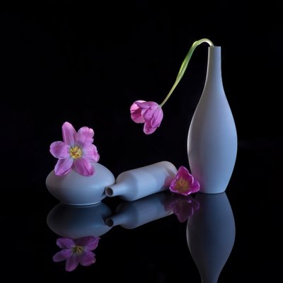  od Alice Sheng
