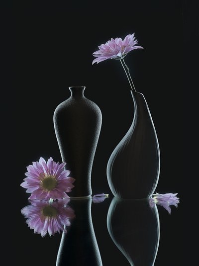  od Alice Sheng