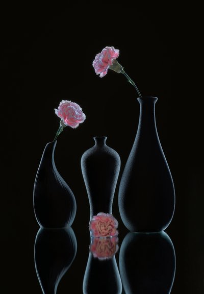  od Alice Sheng