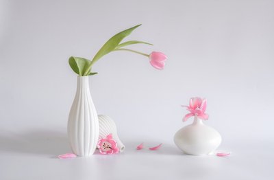  od Alice Sheng