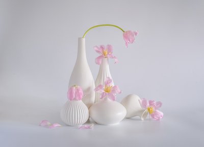  od Alice Sheng