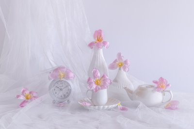  od Alice Sheng