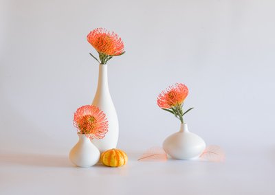  od Alice Sheng