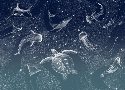 Nebeský mořský život od Alirıza ÇAKIR