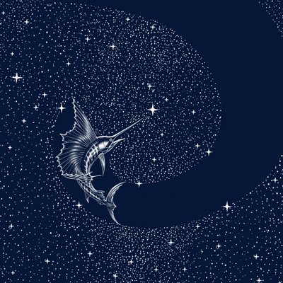 Nebeský mečoun od Alirıza ÇAKIR