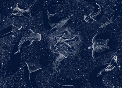 Sen o kosmickém oceánu od Alirıza ÇAKIR