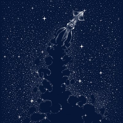 Vzestup kosmické chobotnice od Alirıza ÇAKIR