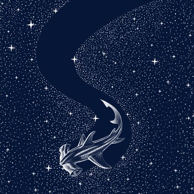 Žralok kladivoun hvězdnatý od Alirıza ÇAKIR