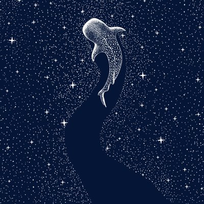 Hvězdnatý žralok velrybí od Alirıza ÇAKIR