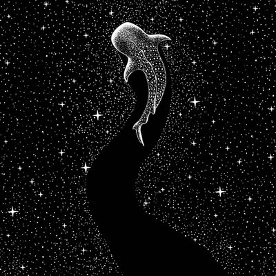 Cesta za žralokem velrybím pod hvězdnou oblohou od Alirıza ÇAKIR