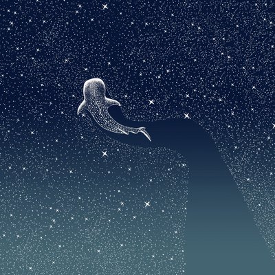 Galaxie žraloků velrybích od Alirıza ÇAKIR