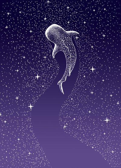 Plavání s žraloky velrybími v Galaxii od Alirıza ÇAKIR