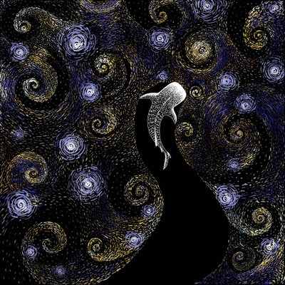 Žralok velrybí – Hvězdná noc od Alirıza ÇAKIR