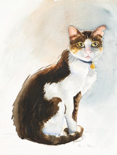 Dave the Saudi Cat, 2019 (akvarel) od Alison Cooper