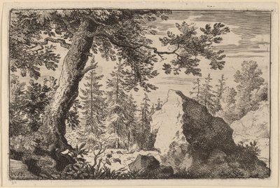 Boulder v lese od Allart van Everdingen