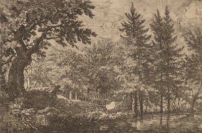 Jedle u vody, pravděpodobně c. 16451656. od Allart van Everdingen
