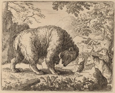 Medvěd rozptýlil Talk of Honey, pravděpodobně c. 16451656. od Allart van Everdingen