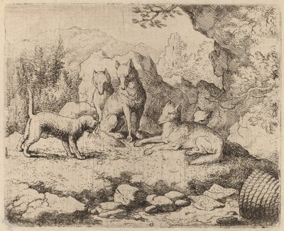 Kočka poslaná jako posel, pravděpodobně c. 16451656. od Allart van Everdingen
