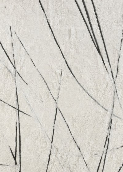 Textura řady Organic Lines od Alma