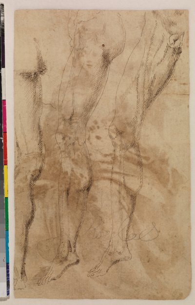 Tři studie mužské nohy (verso) c.1537 (pero a hnědý inkoust na potištěném papíře) [viz 5948317] od Alonso (workshop of) Berruguete
