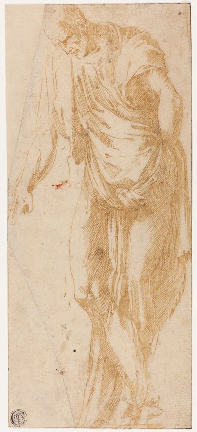 Studie Leviho od Alonso Berruguete
