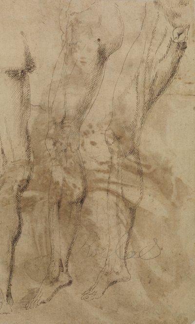 Tři studie mužské nohy, kolem roku 1637 od Alonso Berruguete