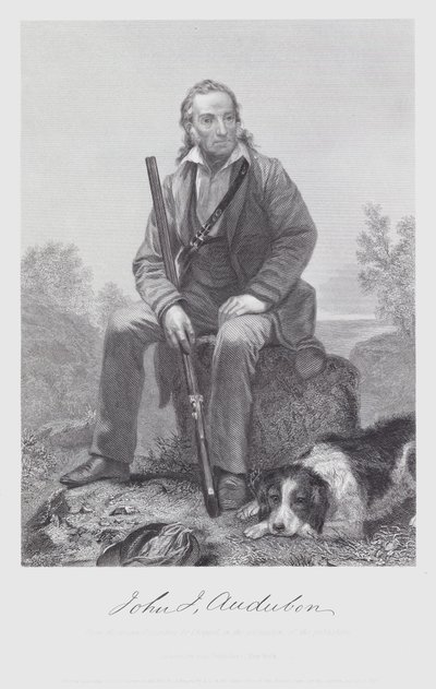 John James Audubon (rytina) od Alonzo (after) Chappel