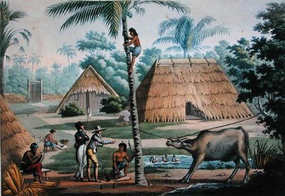 Pohled na okolí Coupangu, Timor, z 