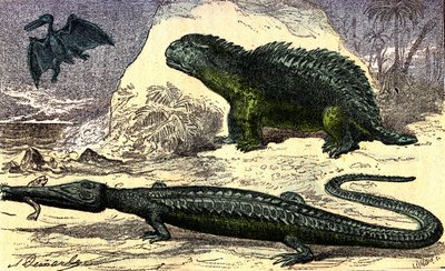 Prehistorie - Jurské období: Teleosaur a Hyleosaur. Pterodaktyl nahoře. Přírodní stvoření a živé bytosti. Kresba A. Demarle. 1885 od Alphonse Demarle