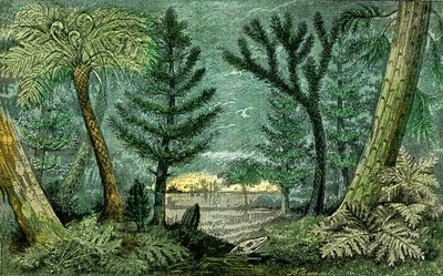 Esihistoria, kivihiilen aikakausi: Kivihiilen aikakausi ja poraus (J. Rrengade) od Alphonse Demarle