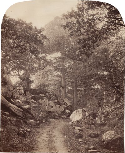Fontainebleau od Alphonse Jeanrenaud
