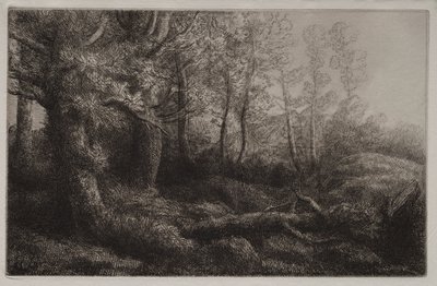Studie lesa od Alphonse Legros