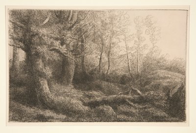 Studie lesa od Alphonse Legros