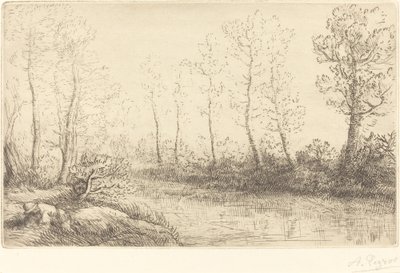 Břízy: Okraj vody viděný v ranním světle od Alphonse Legros