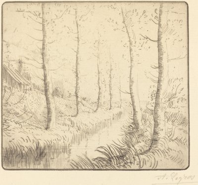 Břízy podél vody od Alphonse Legros