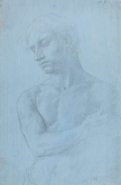 Busta nahého muže. od Alphonse Legros