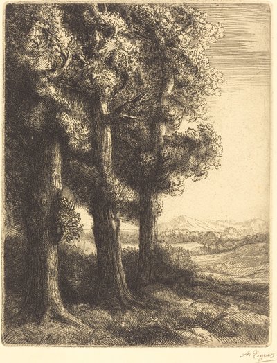 Roh lesa (Coin d