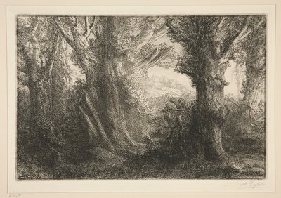 Dans la foret de Conteville (V lese Conteville0 od Alphonse Legros