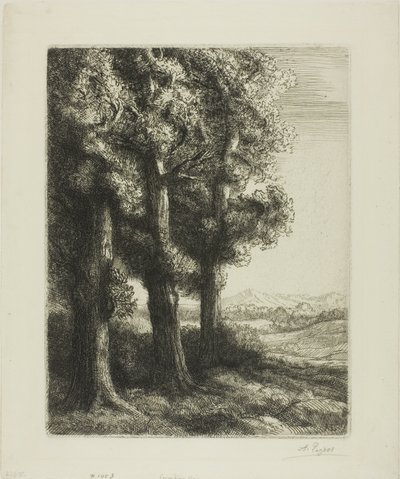 Hrana dřeva od Alphonse Legros
