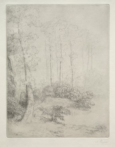 Okraj vody od Alphonse Legros