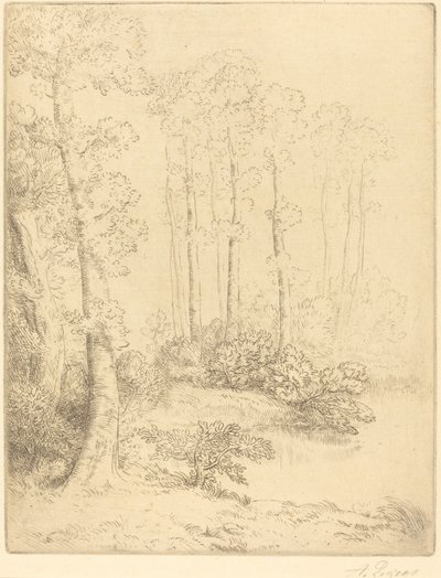 Okraj vody Na okraji vody. od Alphonse Legros