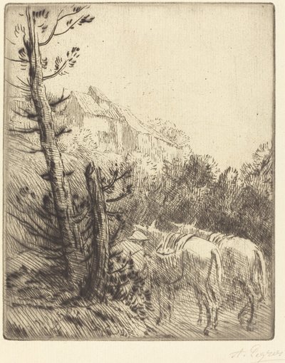Farma na Hillside od Alphonse Legros